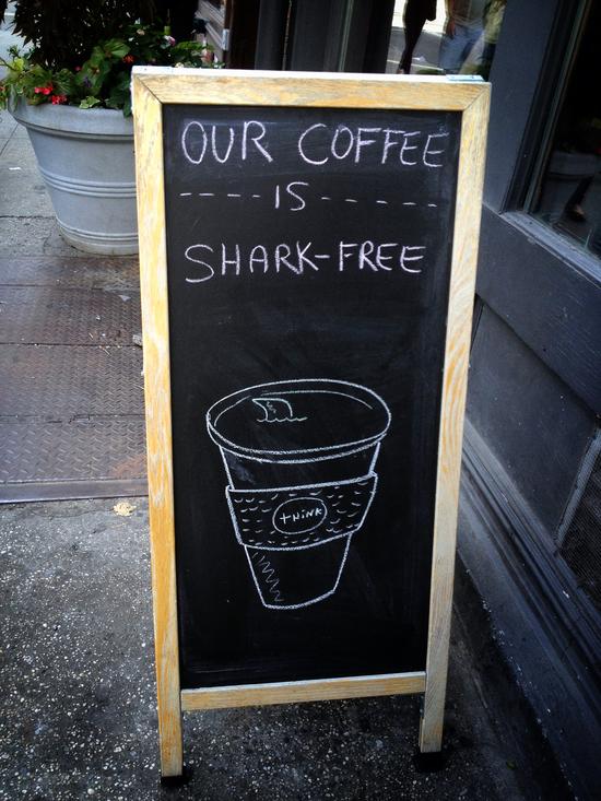 In unserem Kaffee schwimmen garantiert keine Haie!