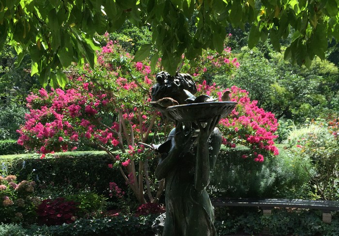 Central Park Conservatory Garden Spatzen