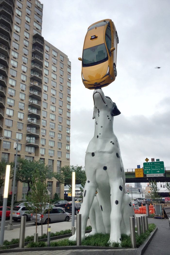 Hund Taxi New York