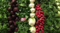 Gemüse Augenschmaus im New Yorker Supermarkt