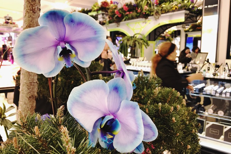 Macy's Flower Show 2019
