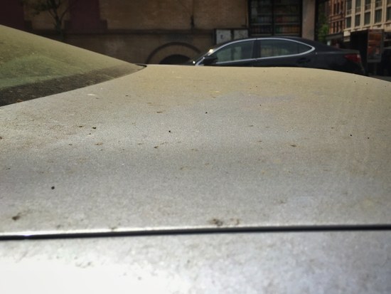 Auto voller Pollen