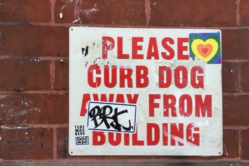 Curb your Dog Regenbogen